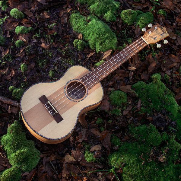 Hilo ukulele lying on ground outdoors