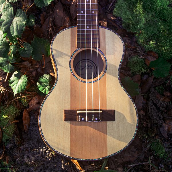 closeup of body of Hilo ukulele lying on grass and leaves