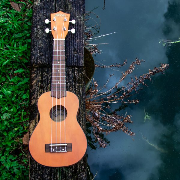 front view of Hilo ukulele lying on wood plank between water and grass