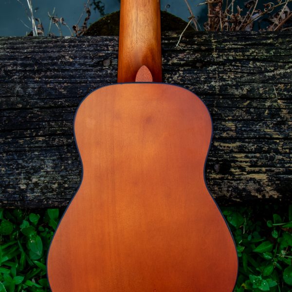 back of Hilo ukulele lying on grass beside water