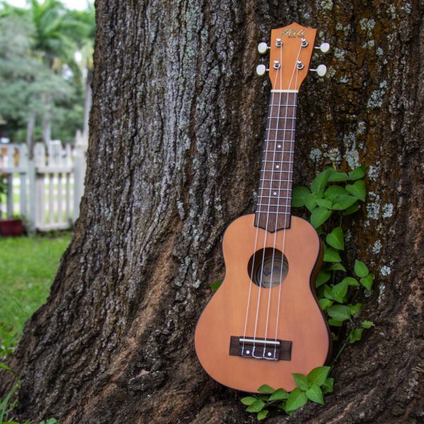 Hilo ukulele leaning against tree trunk