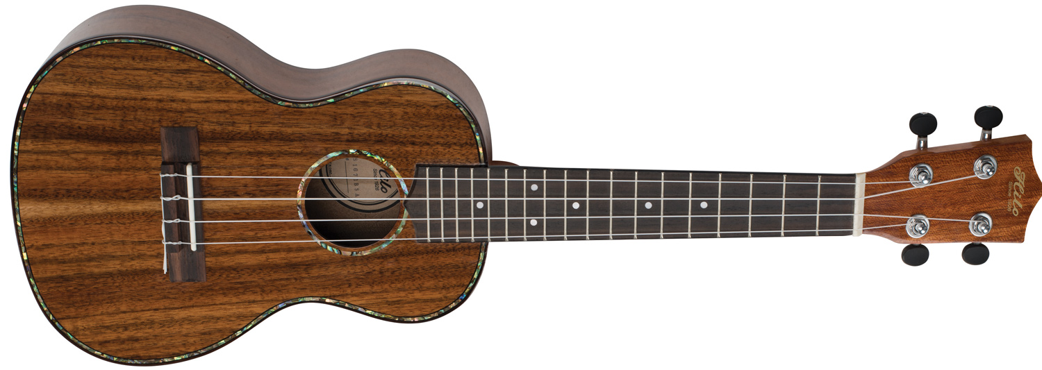 front view of brown Hilo ukulele